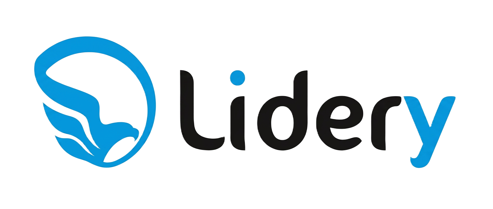 Lidery — Associação de Benefícios e Proteção Patrimonial Mutualista